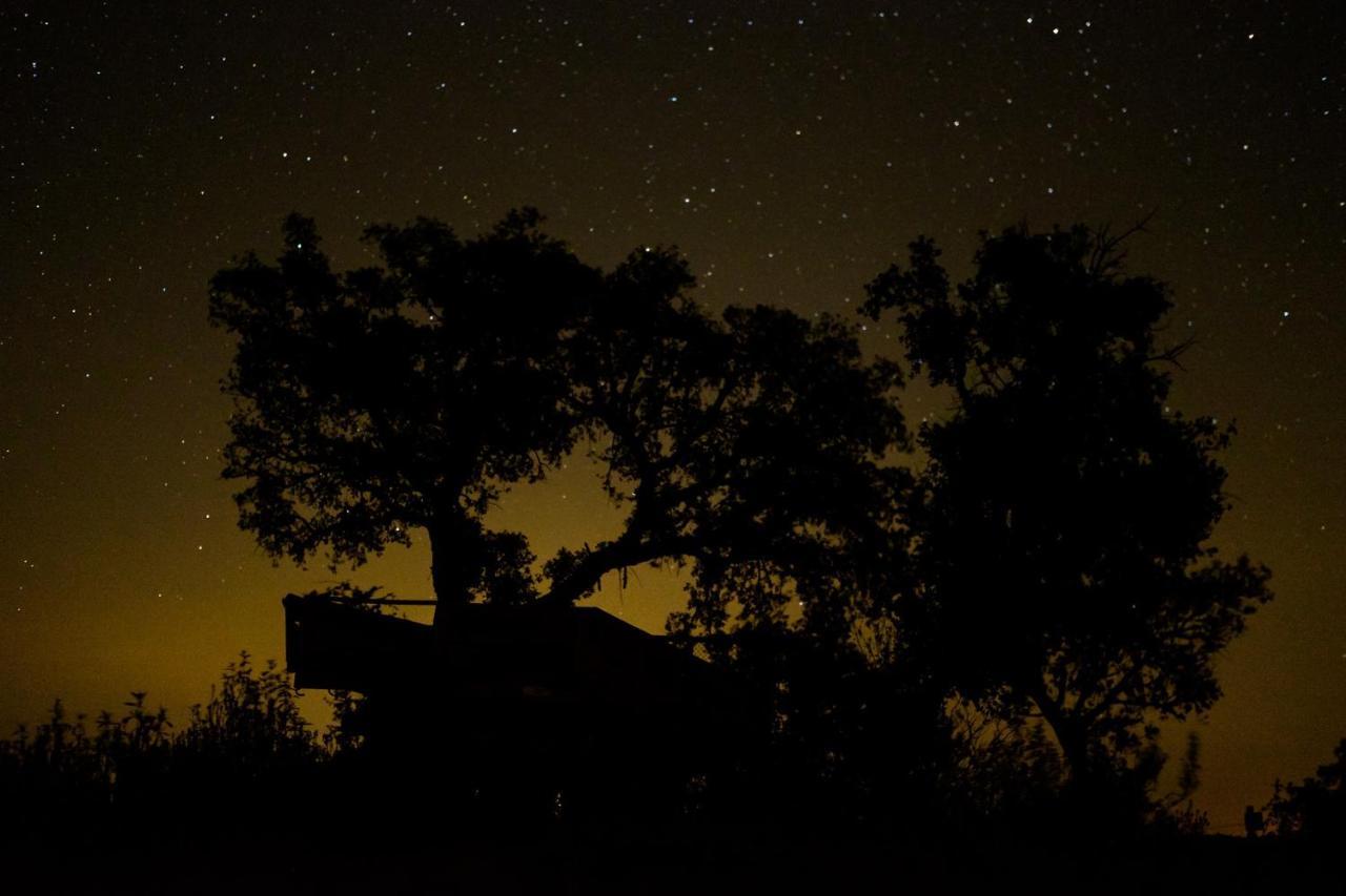 Herdade Do Rio Torto Portel Exterior photo