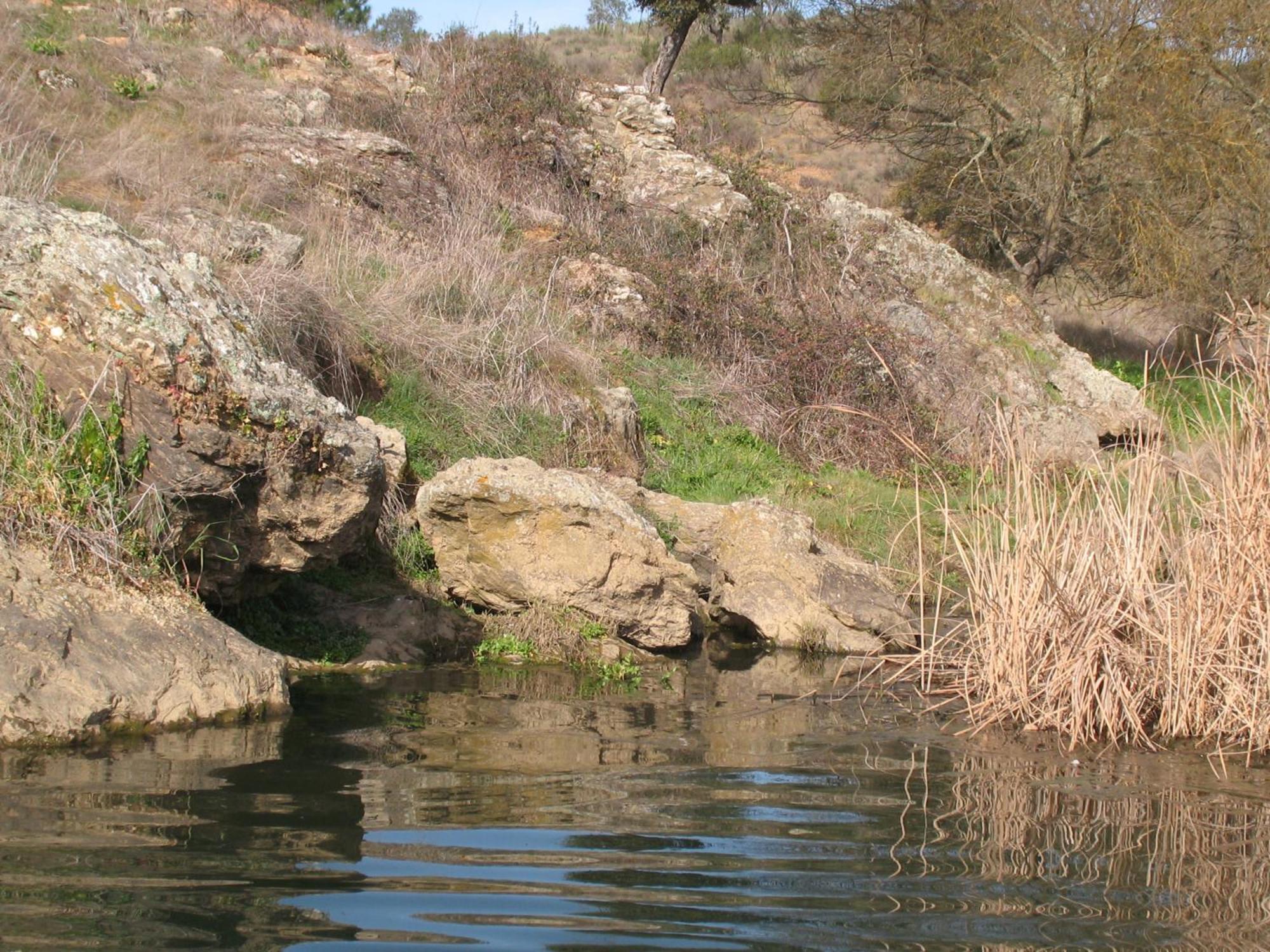 Herdade Do Rio Torto Portel Exterior photo